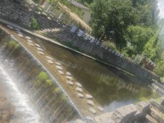 -牛背梁国家森林公园