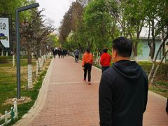 -金城公园