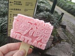 -西湖游船