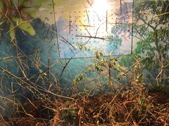 -上海大自然野生昆虫馆(东方明珠·爬宠昆虫探索中心)