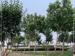 -东疆建设开发纪念公园