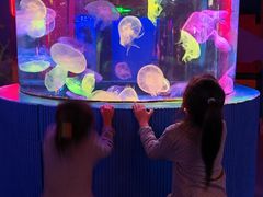 -太平洋海底世界