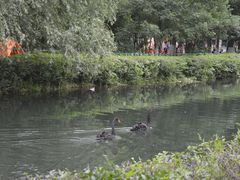 -长白岛森林公园