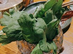 -春记潮汕牛肉火锅