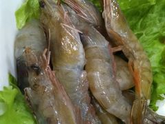 -草原塞蛮羊火锅城(港湾店)