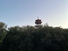 -龙沙公园