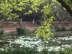 -云岗森林公园