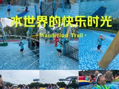 -苏州乐园森林水世界