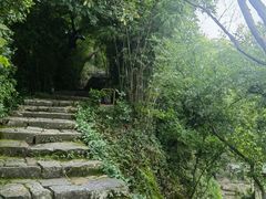 -江心屿景区