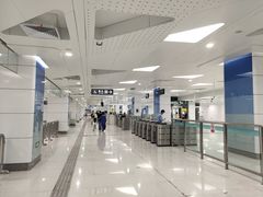 -萧邦音乐会所KTV·蒸汽活海鲜自助(福田店)