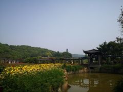 -龙寺生态园