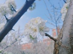 -东北师范大学(净月大街校区)