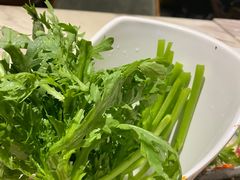 -同仁四季椰子鸡(福田东园总店)