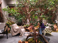 -森SPA·泰式按摩·精油Massage(宝安中心店)