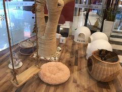 -袖虎·猫馆(体育西路店)