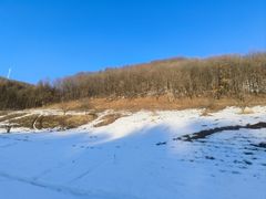-云岭野山参风景区
