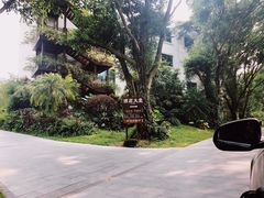 -龙山酒店温泉