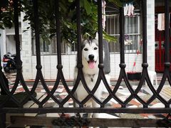 -满记甜品(富华里店)