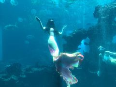 -海棠湾洲际-涛·海底餐厅·美人鱼·自助餐·海底隧道
