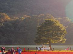 -广州市石门国家森林公园