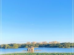 -大兴滨河森林公园