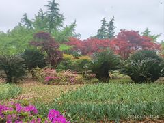 -上海鲜花港