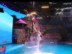 -芜湖新华联大白鲸海洋公园