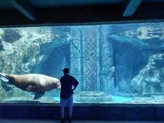 -波塞冬旅游度假区