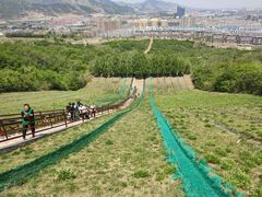 -原山国家森林公园