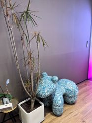 -MAGI美界造型