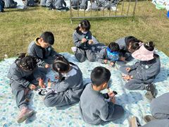 -上海海湾国家森林公园