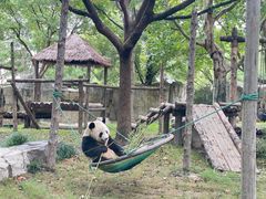 -上海野生动物园