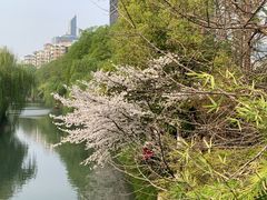 -浙江大学医学院附属第二医院(解放路院区)