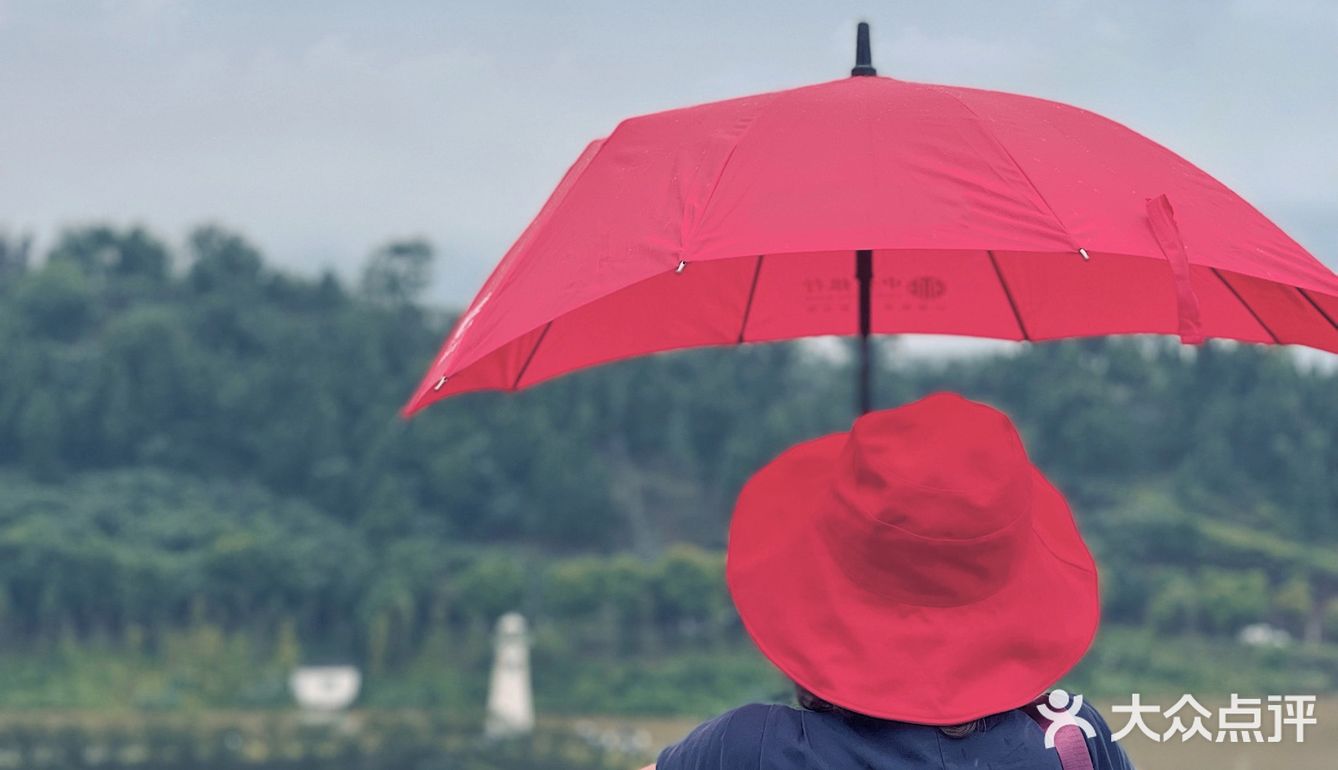 七月𝗦𝗨𝗠𝗠𝗘𝗥限定🌞母亲与向日葵🌻有约