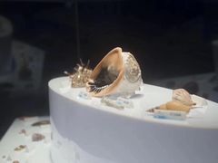 -贝壳梦幻世界