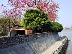 -喜洲吧·江畔老船厂·庭院餐厅(喜临院店)