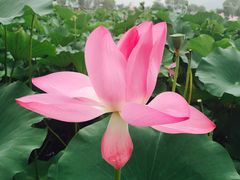 -北京宽沟会议中心