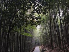 -敬亭山风景名胜区