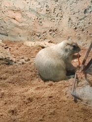 -Zoolung Zoolung动物主题公园(海信广场店)