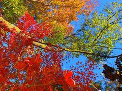 -敬亭山风景名胜区