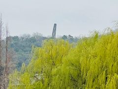 -上海佘山国家森林公园天马山园