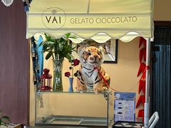 -La Medina餐厅(亮马河南路店)