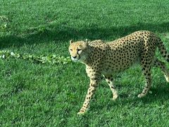 -北京野生动物园