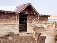 -安德鲁户外烧烤帐篷营地(马泉营店)