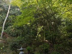 -有马温泉 竹取亭円山温泉旅馆