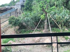-宁波野生动物园