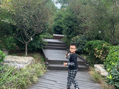 -昆山城市生态森林公园