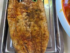 -煲来饱去冷水鱼