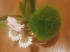 -佐度王子扒房(爱建卓展店)