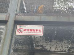 -柳州市动物园